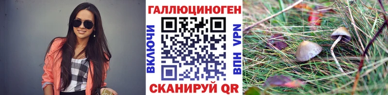 Псилоцибиновые грибы Cubensis  Купить  Данков 